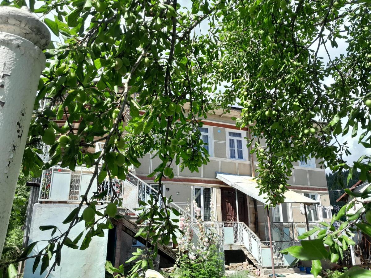 Hotel Armazi Khulo Exterior foto